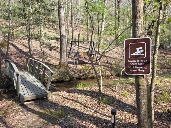 Bridge and swing