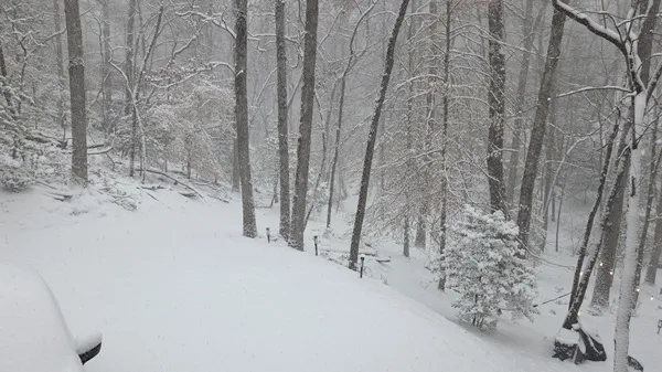 Snowy driveway