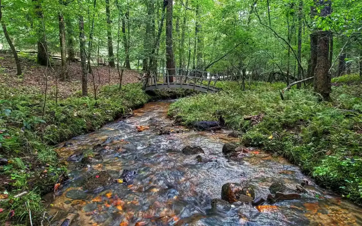 Stream