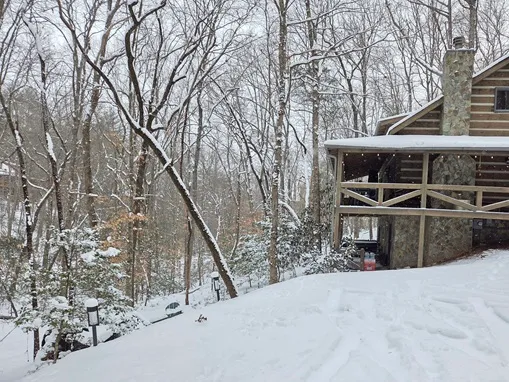 Snow view